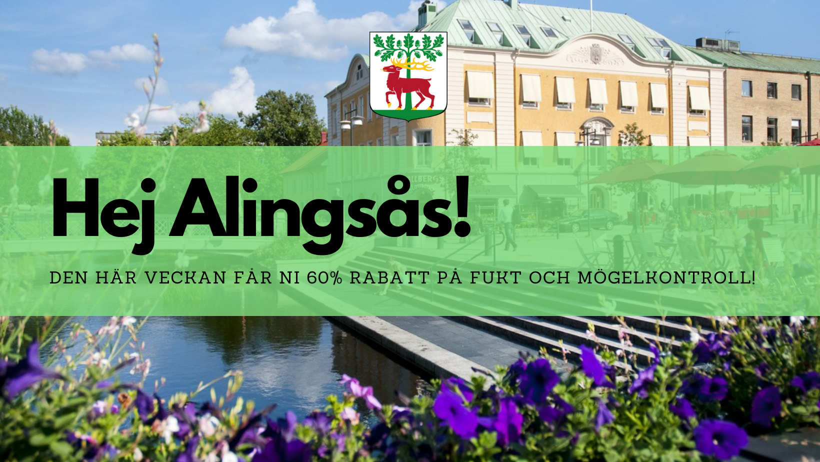 Erbjudande för vecka 6
