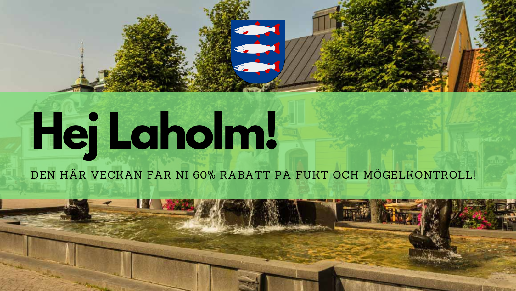 Veckans erbjudande 33