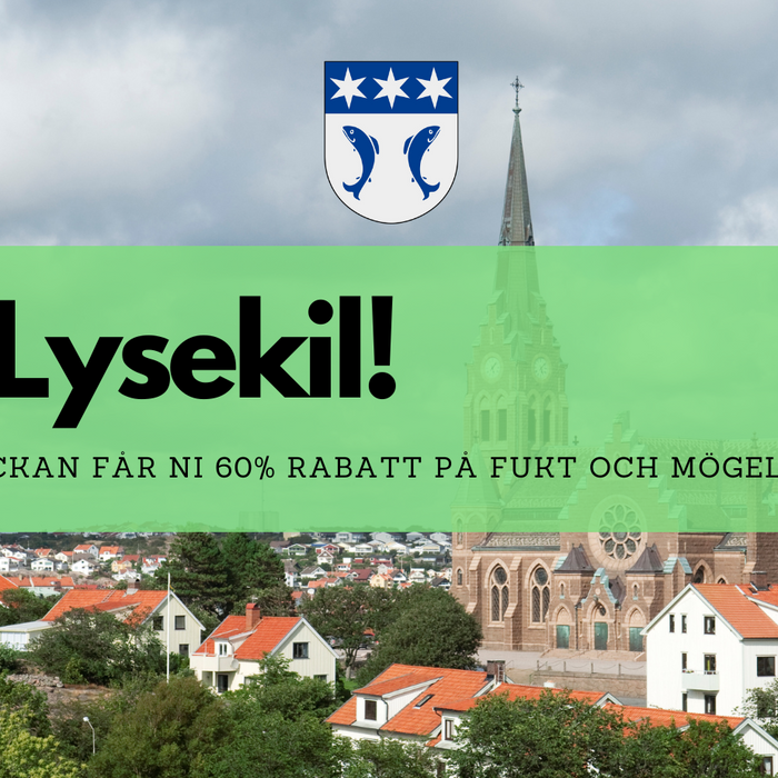 Veckans erbjudande 20