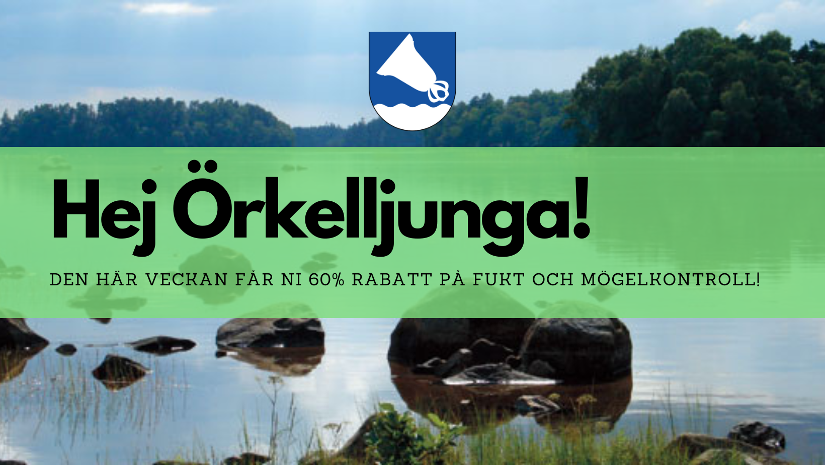 Veckans Erbjudande 31