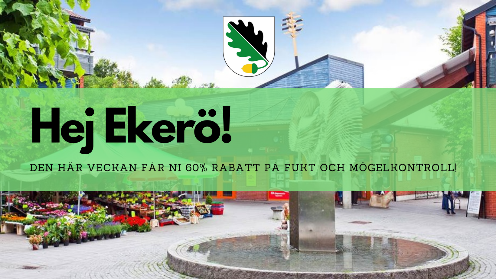 Erbjudande för vecka 12