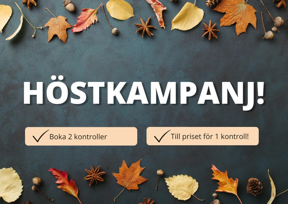 Höstkampanj - Favorit i repris