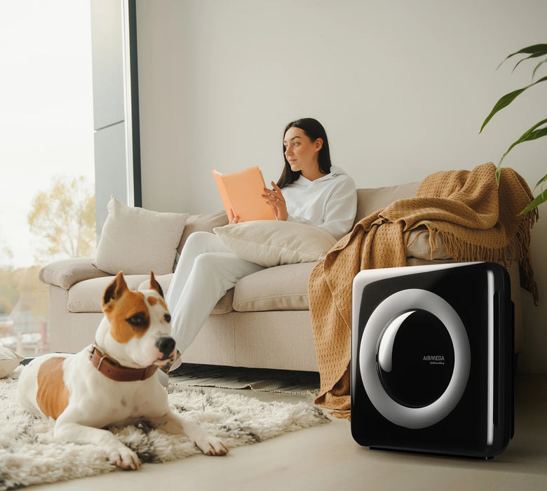 Coway Airmega Mighty Svart