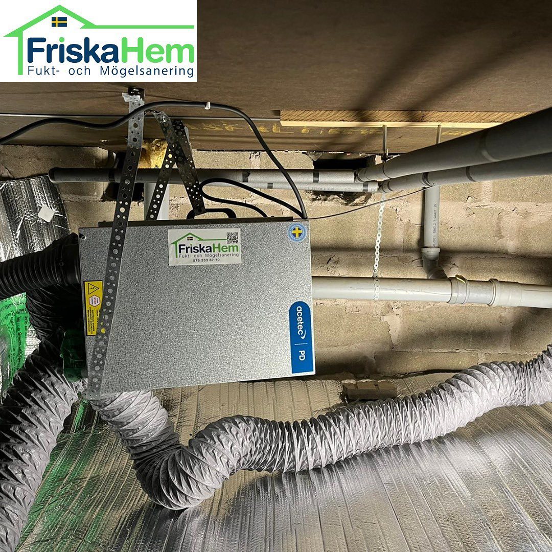 Installation av en sorptionsavfuktare Acetec Evodry PD och Isoreflekt ...