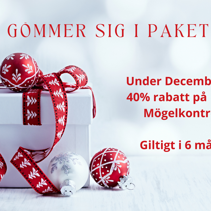 Ett Julerbjudande under granen!
