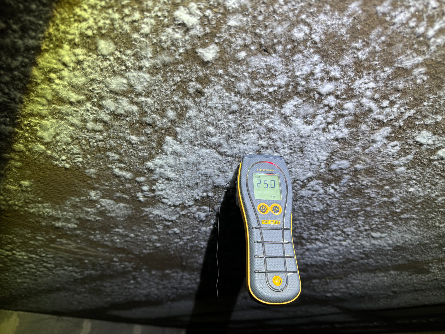 Fukt- och mögelkontroll eller ventilationskontroll för 0 kr!